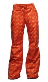 ����� ����� Rossignol SKYWAY PR